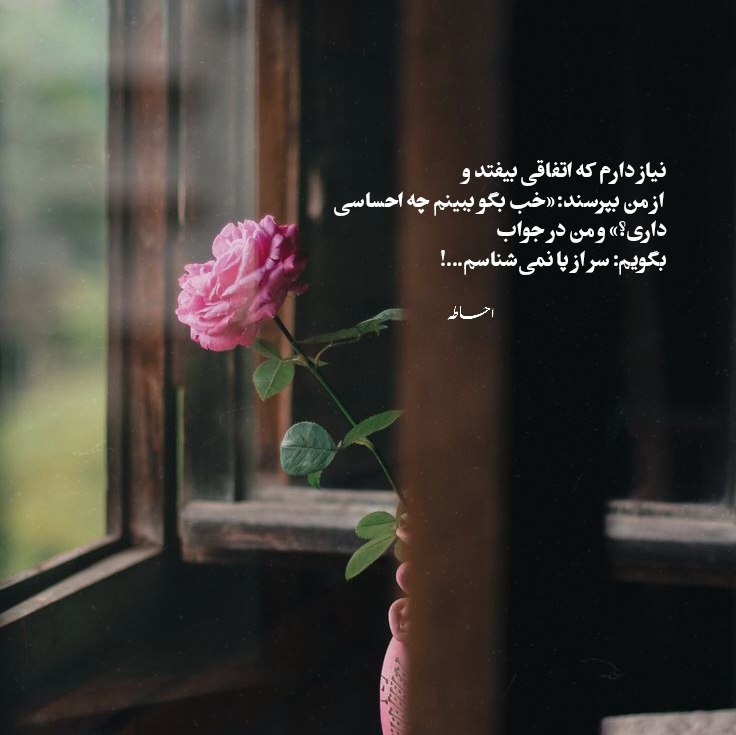 غلط کردم تی ام بکس