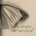 دانلود آهنگ عباس قادری دهلو خوشگله