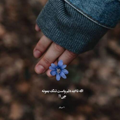 دانلود آهنگ آلاله من گل لاله من از شهرام کاشانی