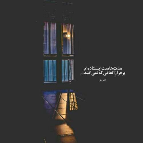 دانلود آهنگ دلتنگم اهل دیار دردم دنبال همدرد خودم میگردم رضا نیک فرجام