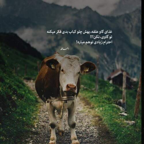 دانلود آهنگ دختر آتیش پاره اندی و کوروس