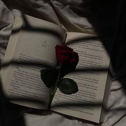 دانلود آهنگ غلط کردم مهدی احمدوند