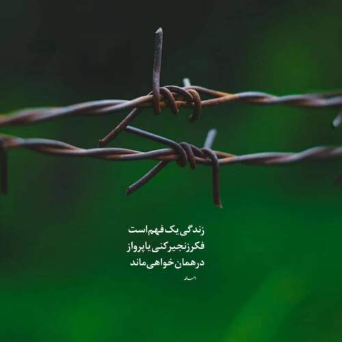 دانلود آهنگ این چیه زدی دستم جناب سروان