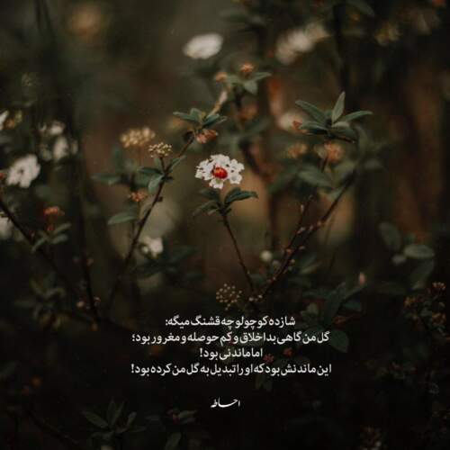 دانلود آهنگ کاش بدونی ماتم دنیا