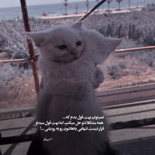 دانلود آهنگ همه خوبن ولی خوبتر از خوب تویی تو بهمن کاویانی