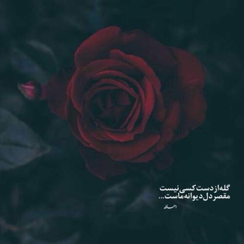 دانلود آهنگ کیه کیه در میزنه پوران