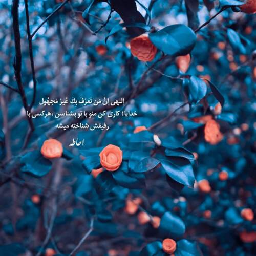 دانلود آهنگ له لا له لا ناصر عبداللهی