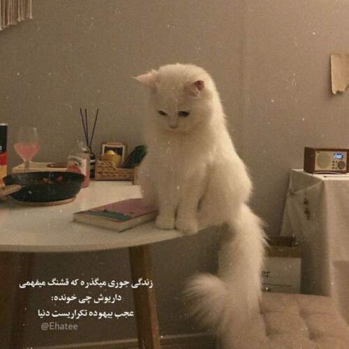 دانلود آهنگ مگه من از شهرام کاشانی