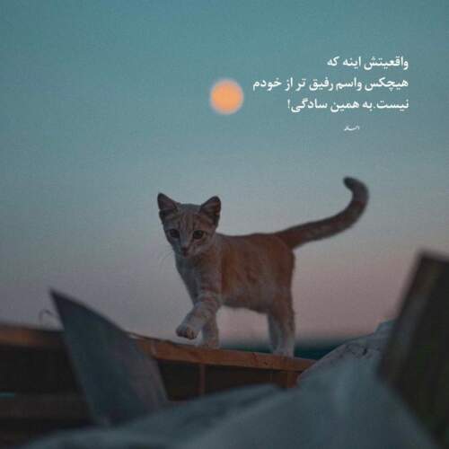 دانلود آهنگ مهدی یغمایی نیمه پنهانم