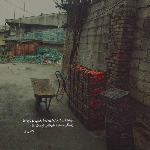 دانلود آهنگ نبض هیپهاپولوژیست
