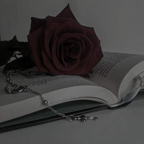 دانلود آهنگ اون شب علی عبدالمالکی