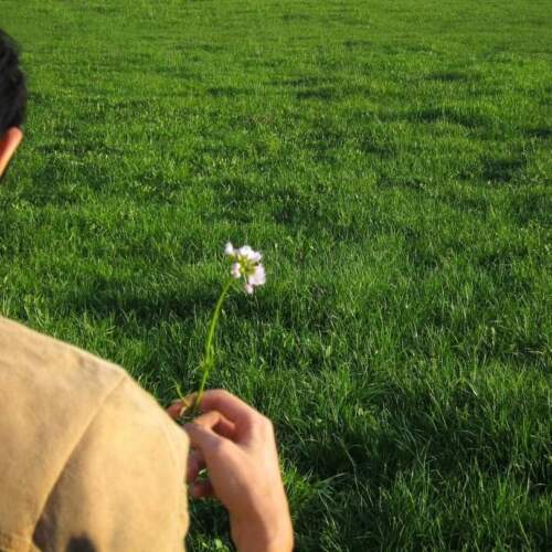 دانلود آهنگ سوغاتی شکیلا
