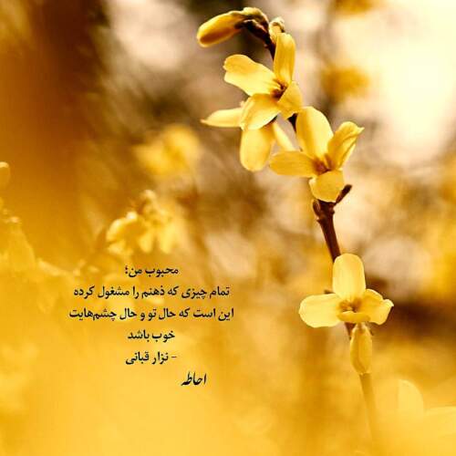 دانلود آهنگ سرود سیده زینب