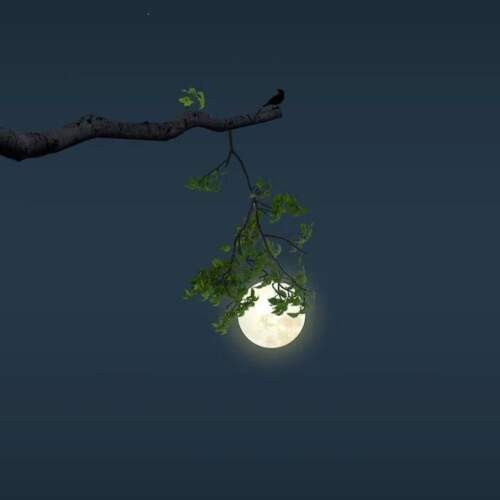 دانلود آهنگ از کجا پیدات شد همه هم و غمم چشمات شد