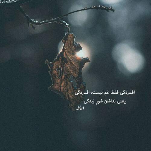 دانلود آهنگ یه ساله نرم ازت خبر