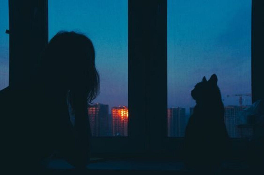 ریمیکس Slow World
