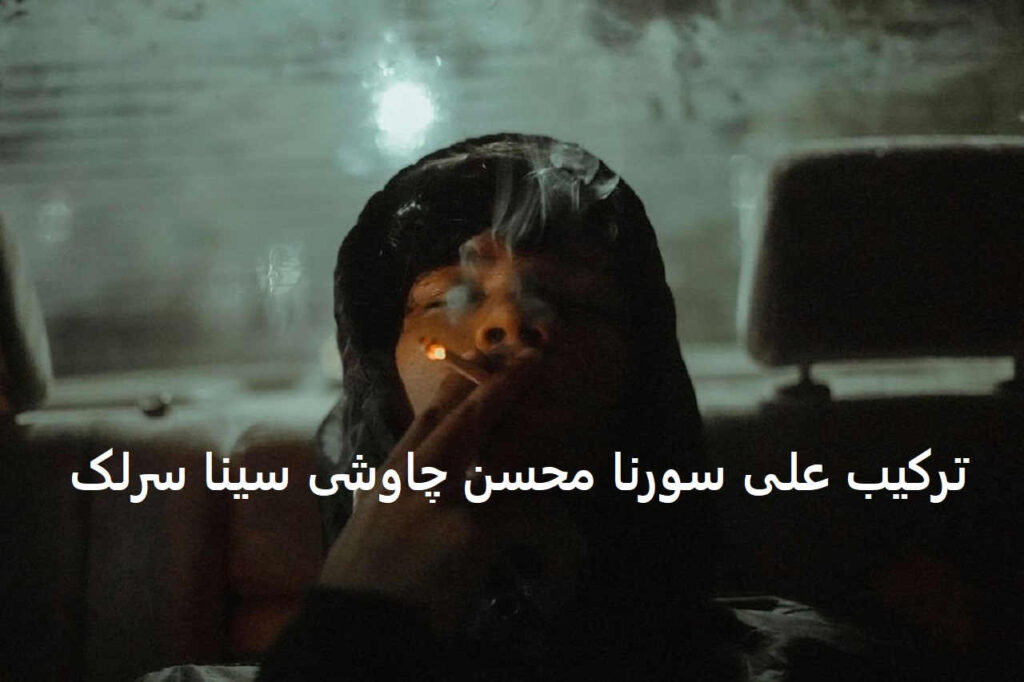 محسن چاوشی و علی سورنا و سینا سرلک
