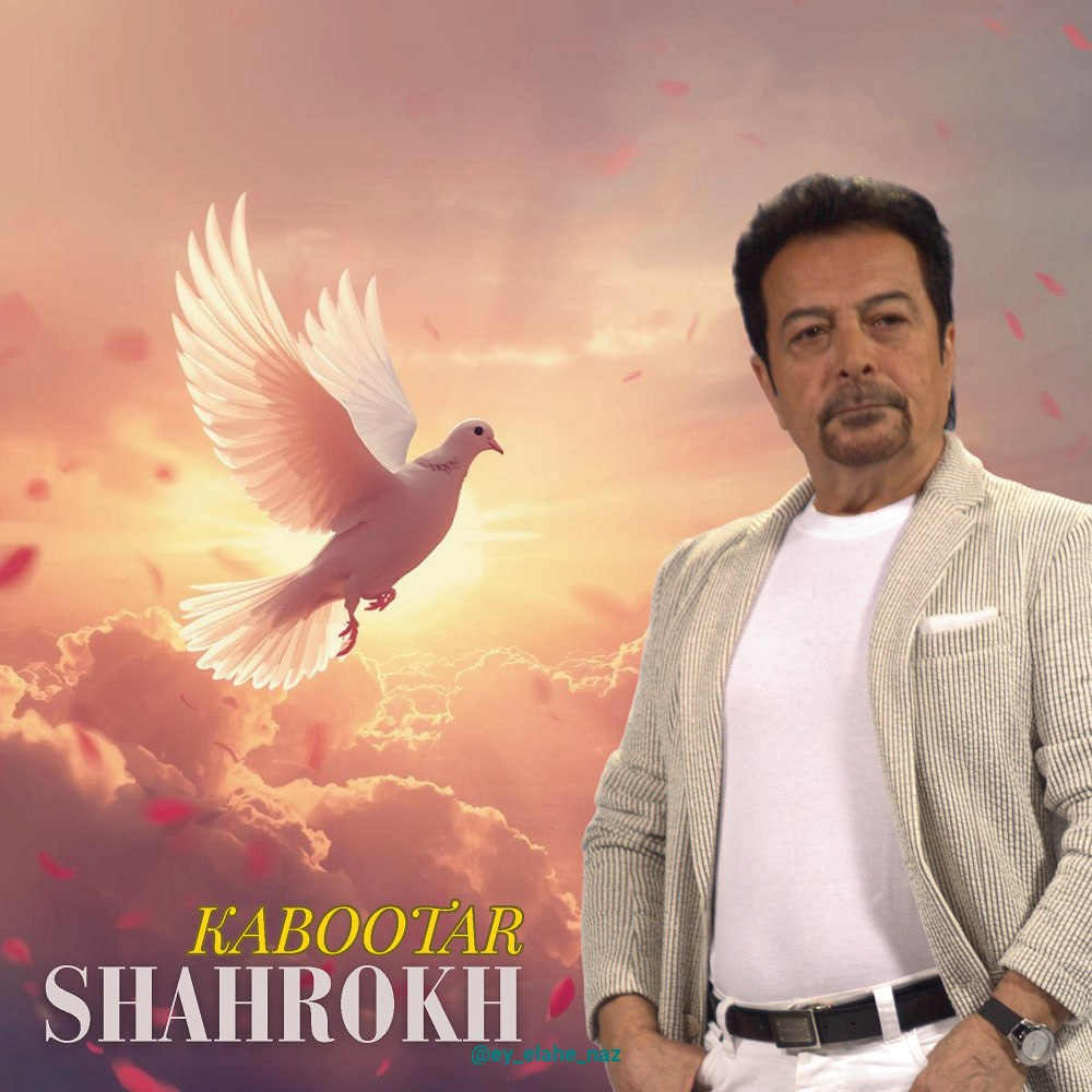 آهنگ کبوتر از شاهرخ