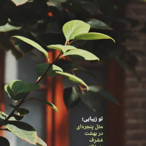 دانلود آهنگ آشوبم چارتار