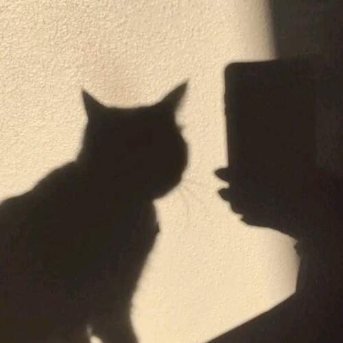 دانلود آهنگ دمق شدم و کم حرف شدم ولی نبودنتو چه خوب بلد شدم