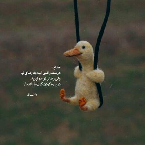 دانلود آهنگ گل عشق رضا بهرام