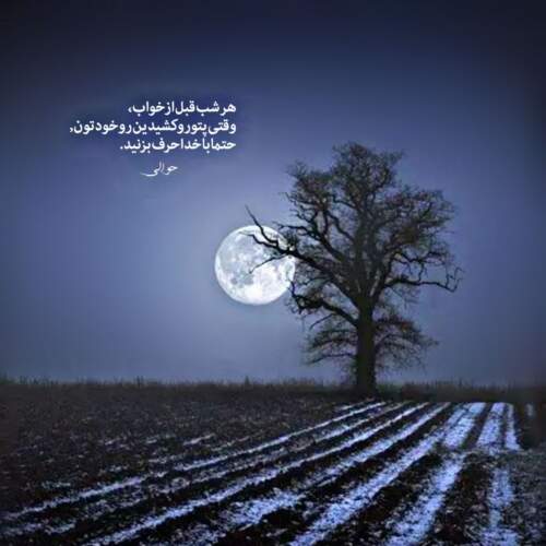 دانلود آهنگ گرگ درنده بشم ریمیکس
