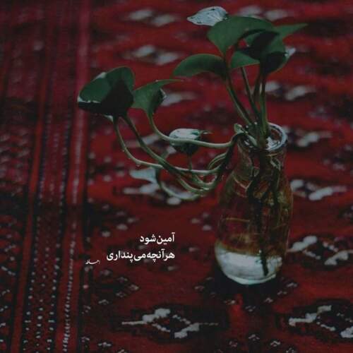 دانلود آهنگ هیهات حامد همایون