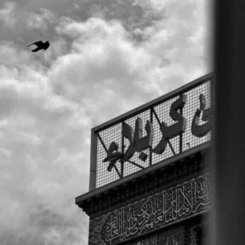 دانلود مداحی جونم رفت جونم رفت امین قدیم