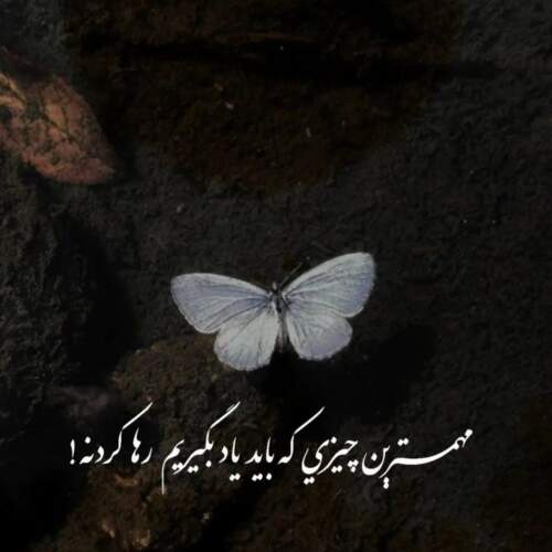 دانلود آهنگ لطف رضا بهرام