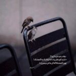 دانلود آهنگ موهات محسن یگانه دانلود آهنگ موهات محسن یگانه
