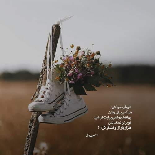 دانلود آهنگ شاه داف تهرون از فدی و ایلان و مویان