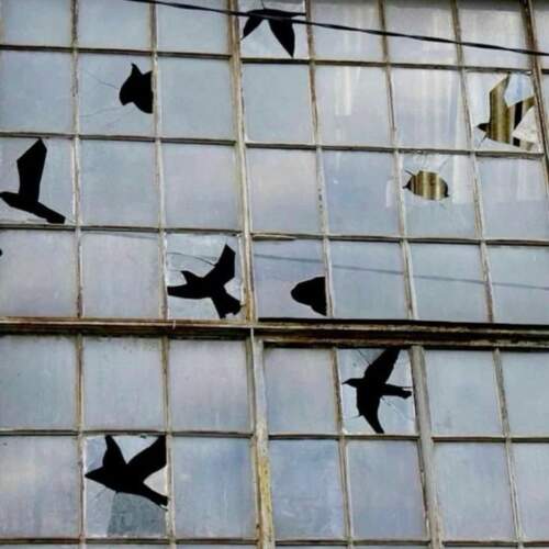 دانلود آهنگ شاید به هوایت زدم در نم باران از علیا