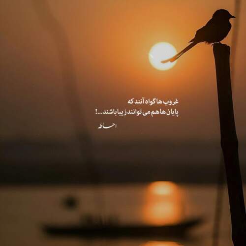 دانلود آهنگ تسلیم راغب