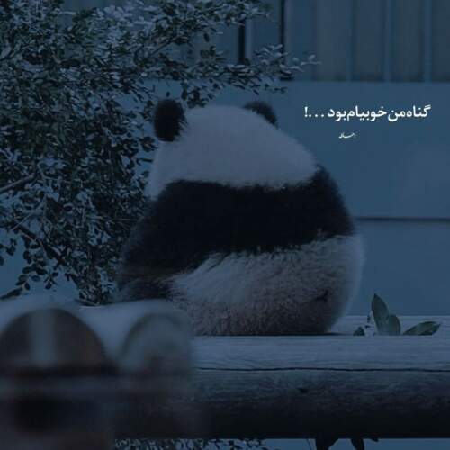 دانلود آهنگ زیر بارون بدون چتر میشینم