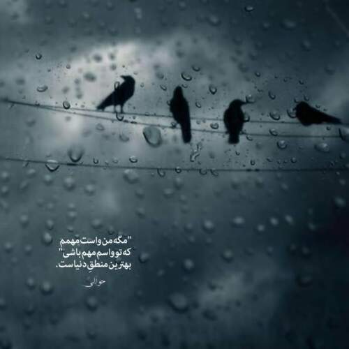 دانلود آهنگ بلای جونم لیلی رو آتیشم چون سیلی مرتضی