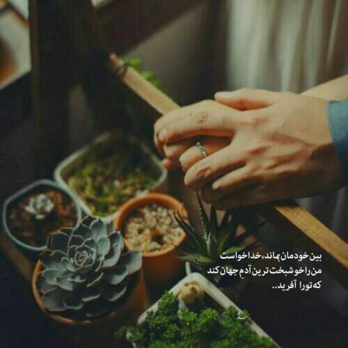 دانلود آهنگ برام غربته هرجایی که میرم با صدای رضا سهی
