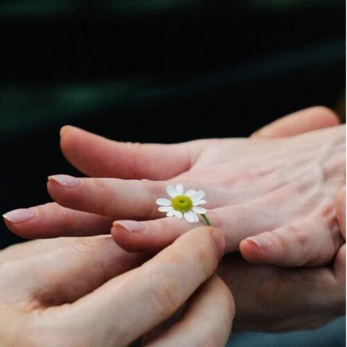 دانلود آهنگ به هوش بودم از اول شجریان