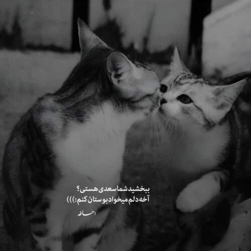 دانلود آهنگ بی معرفت مهدی احمدوند