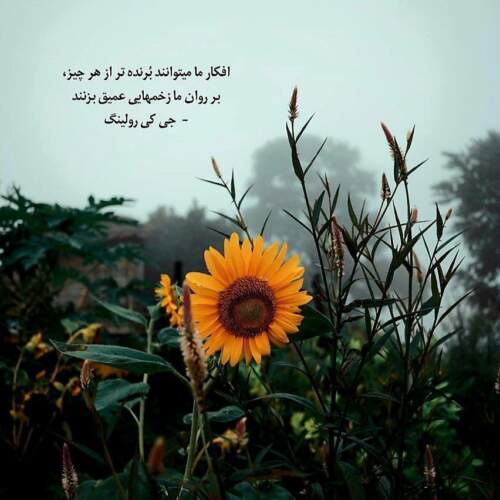 دانلود آهنگ دل بده به دلم حل بشه مشکلم از علی رها