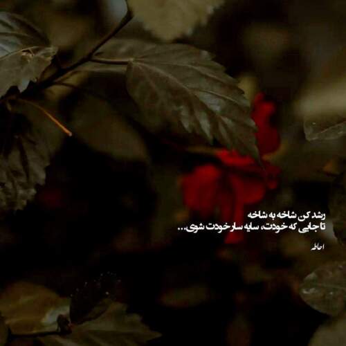 دانلود آهنگ خدایا خدایا کویرم کویرم بگو ابر بباره میخوام جون بگیرم