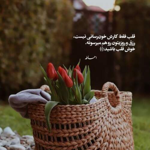 دانلود آهنگ منو ببر به اون شبی که ستاره رو نشونه کردی