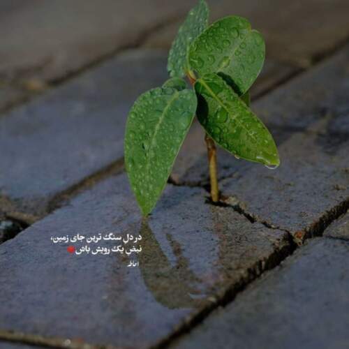دانلود آهنگ همه ی دارو ندارمی بعد خدا ریمیکس