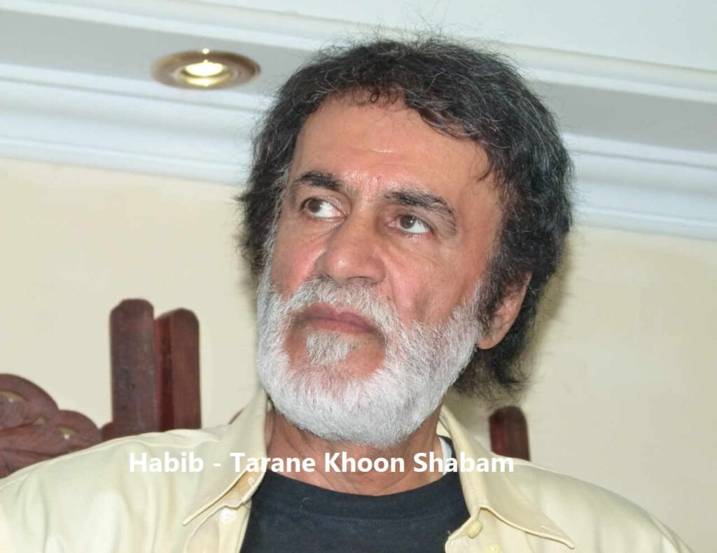 آهنگ ترانه خون شبم از حبیب