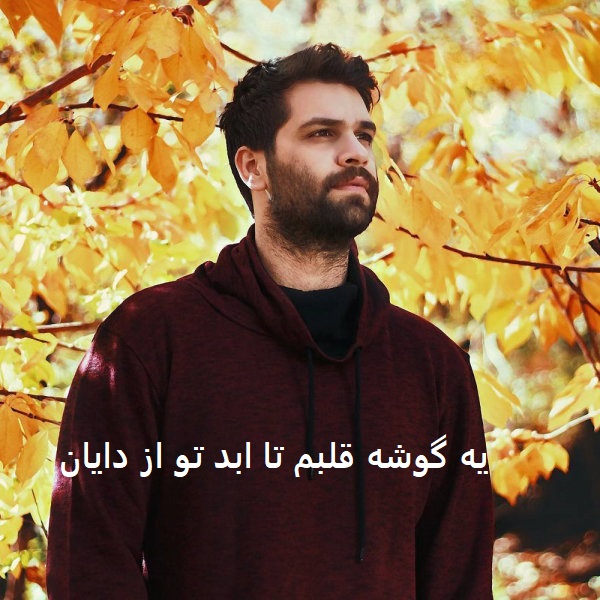 آهنگ یه گوشه قلبم تا ابد تو از دایان