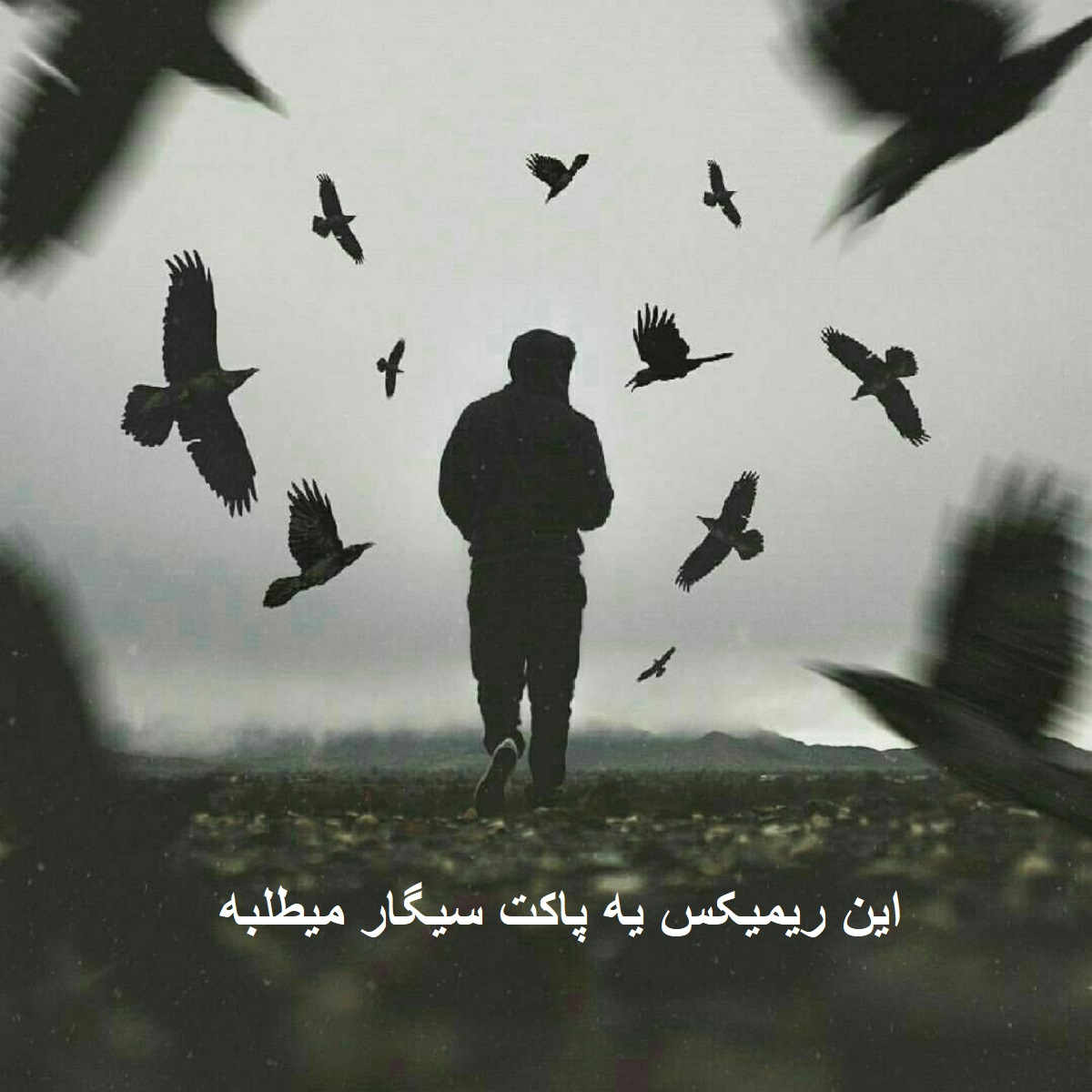 دانلود ریمیکس کردی دپ ساغرم شکانی