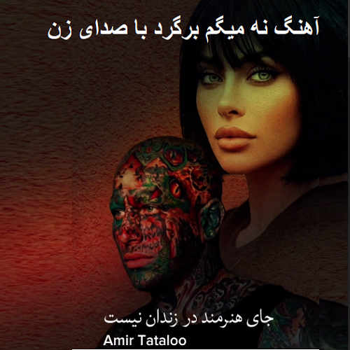 آهنگ نه میگم برگرد با صدای زن