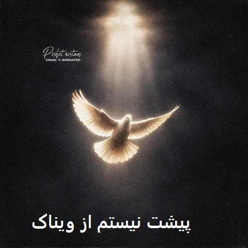 آهنگ پیشت نیستم از ویناک