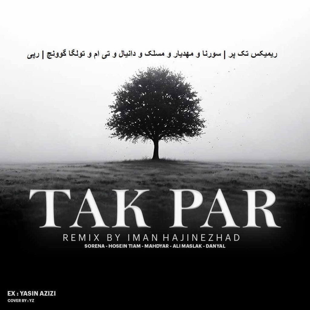 ریمیکس تک پر
