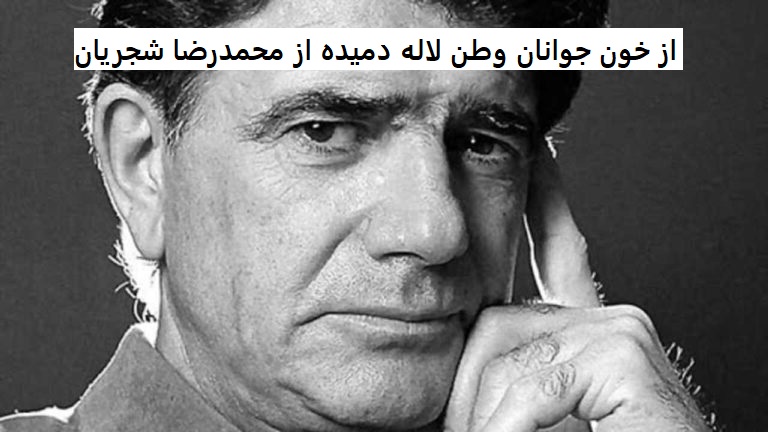 آهنگ از خون جوانان وطن لاله دمیده از محمدرضا شجریان