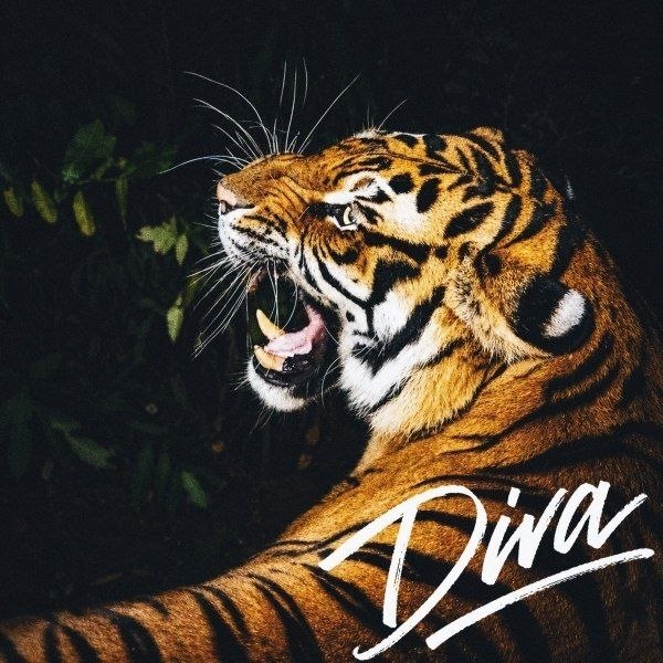 آهنگ Diva از Burak Bulut